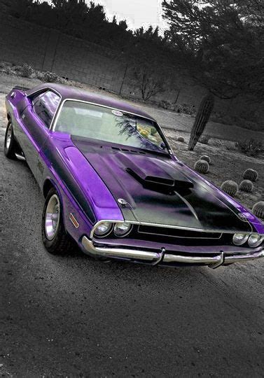 Purple Challenger Click To Find Out More