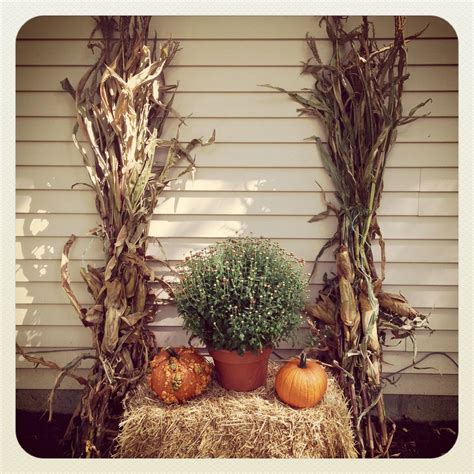 Simple Harvest Decoration Two Corn Stalks Two Pumpkins Bale Of Hay
