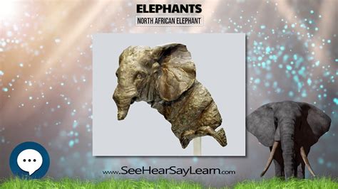 North African Elephant Extinct
