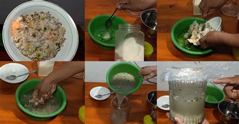 Bahan bumbu kacang dan bumbu halus: Cara Membuat MOL Nasi Basi | KampusTani.Com