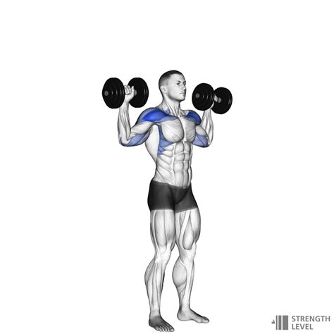 Dumbbell Shoulder Press How To Strength Level