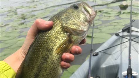 Fishing Lake Arthur Moraine State Park Best Bait Ever Youtube