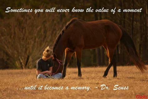 Are you looking for cute quotes about love, cute romantic quotes, cute valentine's day quotes, or cute i love you quotes? Rip Horse Quotes. QuotesGram