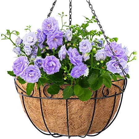Check spelling or type a new query. Amazon.com: Gardman R947 Forge Hanging Basket with Coco ...