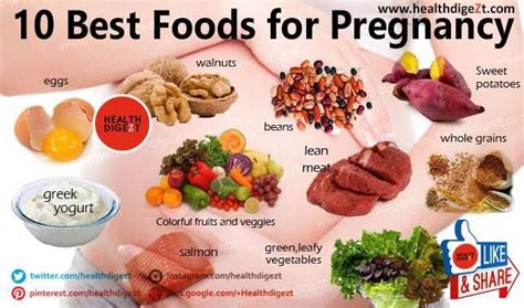 Eggs are known as a healthy food for pregnant women during pregnancy as they contain almost all of the nutrients that the pregnant woman's body needs. Pin on Misc Items I Like