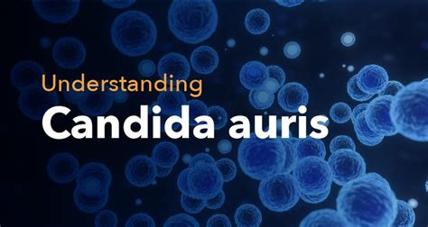 Understanding Candida Auris Risks Symptoms And Prevention Measures Franciscan Missionaries