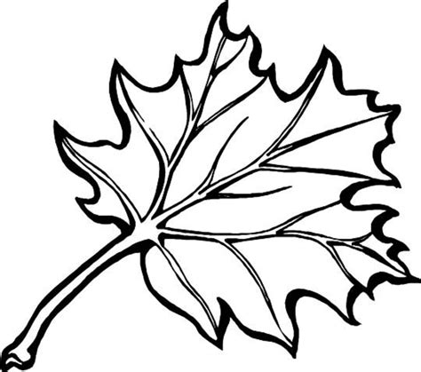 Fall Leaves Printable Coloring Pages Coloring Page For Kids Kids Coloring