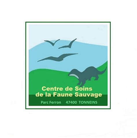 Centre De Soins De La Faune Sauvage De Tonneins Csfst Tonneins