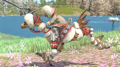 Chocobo Armor Highland Barding That Was Warm And Cute Ff14 Norirow