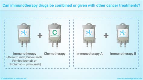 Slide Show Understanding Immunotherapy For Lung Cancer