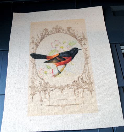 Can I Put Cardstock In My Epson Printer - is the epson stylus NX420 capable of printing on cardstock…