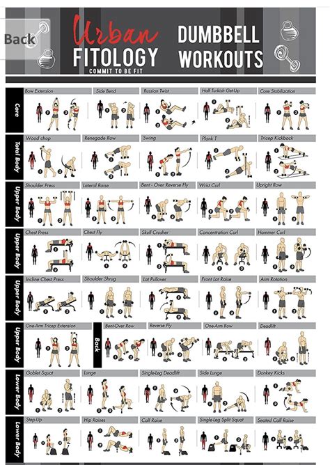 Pin By James Walchuck On Fitness New Dumbbell Workout Workout