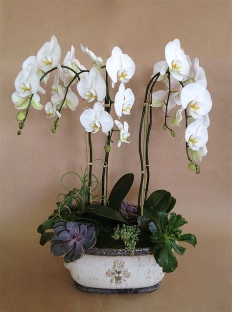 Beautiful Orchid Arrangement Design 39 Onechitecture Arranjos De Flores Simples Arranjos