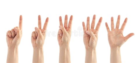 Set Of Hands Making The Numbers Stock Image Image Of Female Four