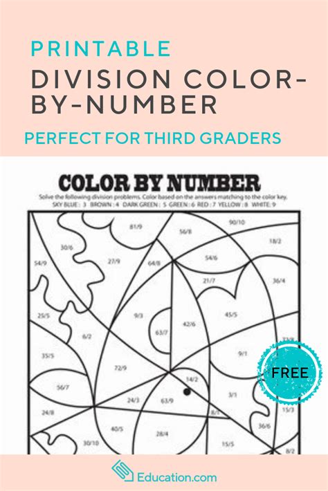 Color By Number Division Worksheet Division