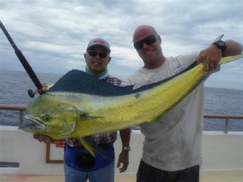 We did not find results for: Photo Gallery