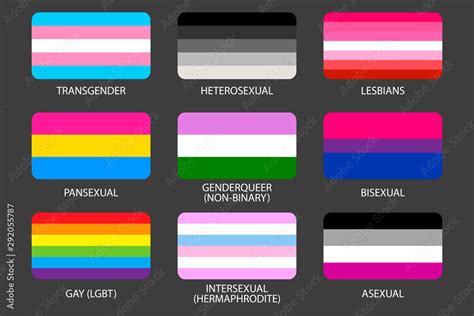 Set Of Lgbt Pride Flags Gays Lesbians Asexuals Transsexuals My XXX Hot Girl