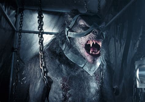 Entdecke rezepte, einrichtungsideen, stilinterpretationen und andere ideen zum ausprobieren. Underworld: Evolúció online teljes film magyarul! filminvazio.hu
