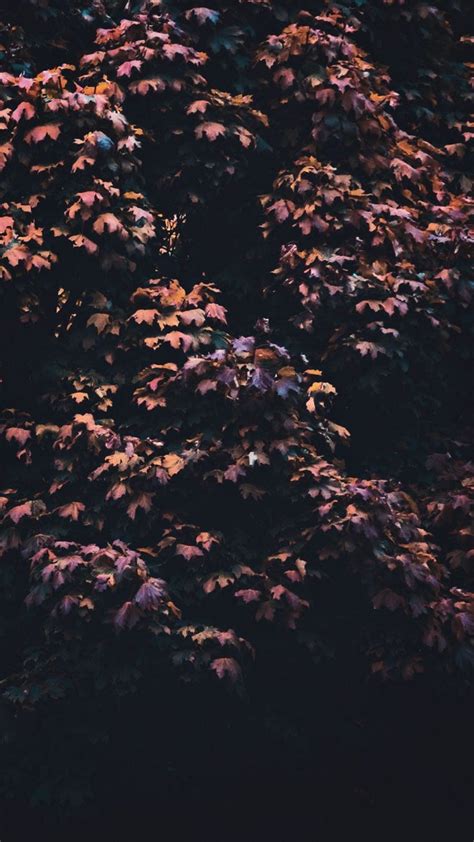 Aesthetic HD For Android Wallpapers - Wallpaper Cave