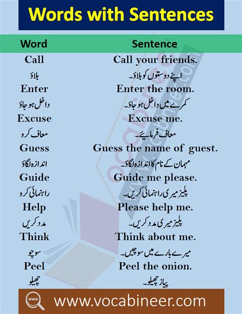 100 English Words With Sentences In Urdu For Daily Use