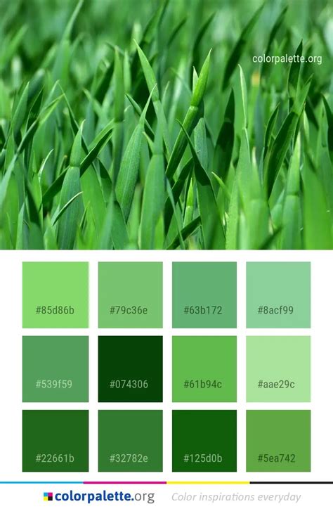 Grass Green Color Palette