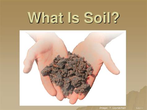 Ppt What Is Soil Powerpoint Presentation Free Download Id805606