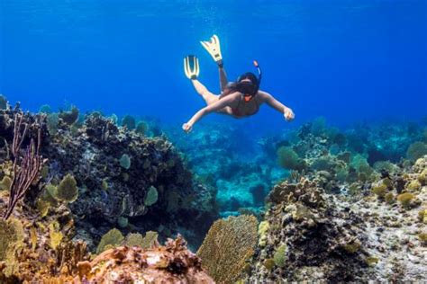 The Best Turks And Caicos Snorkelling Visit Turks And Caicos Islands
