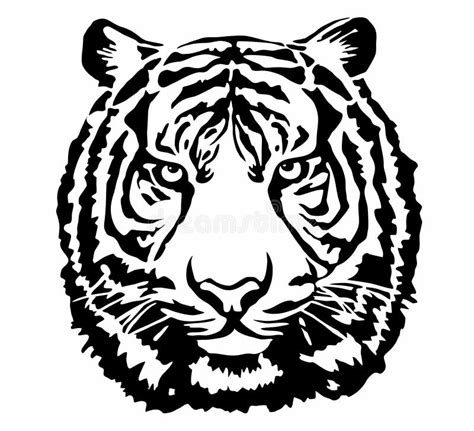 Vector Illustration Isolated On White Tiger Head Black And White