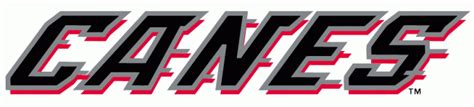 Have a look at great templates in our gallery. Carolina Hurricanes Wordmark Logo - National Hockey League ...