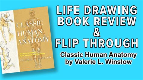 Classic Human Anatomy By Valerie L Winslow Review And Flip Through