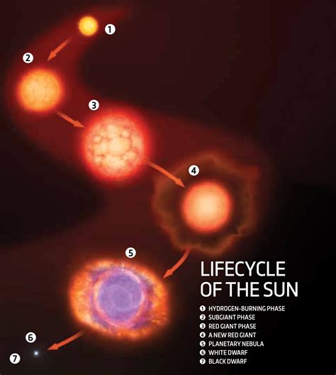 Sun Life Cycle Diagram
