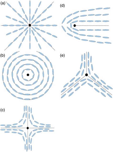 Typical Topological Defects Observed In A Liquid Crystal Sample With