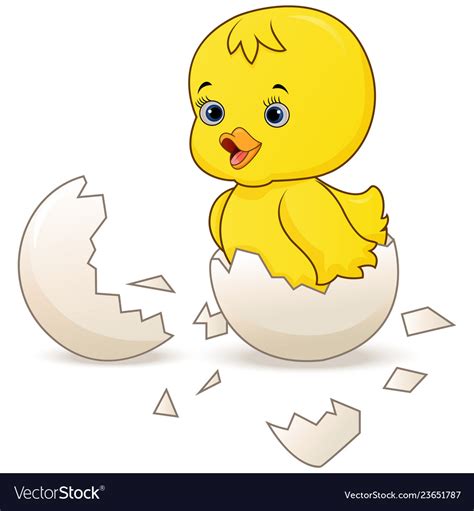 Cute Little Cartoon Chick Hatched From An Egg Vector Image