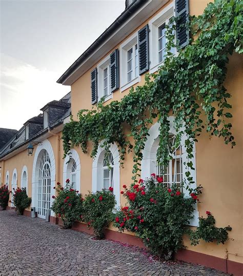 Aktuelle wohnung rheingau taunus kreis immobilien von 580 eur bis 1.040.000 eur mehr als 200 unterschiedliche angebote von 15 portalen vergleichen Schloß Johannisberg im Rheingau | House styles, Mansions ...