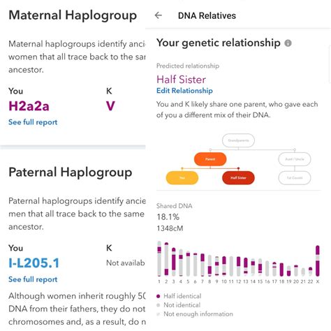 Does My Husband Really Have An Unknown Half Sister R23andme