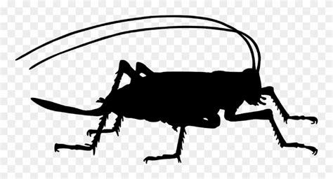 Cricket Farm Insect Cricket Silhouette Clipart 1052653 Pinclipart