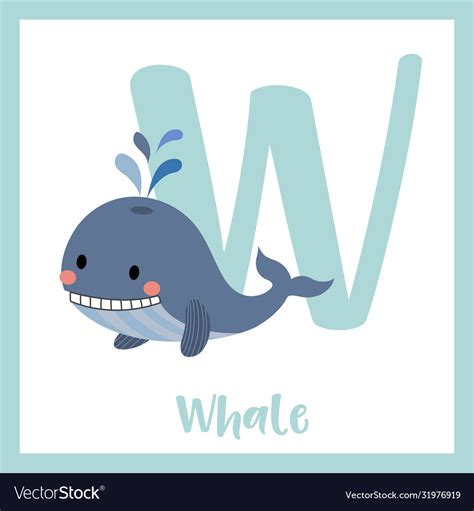 Letter W Vocabulary Blue Whale Royalty Free Vector Image