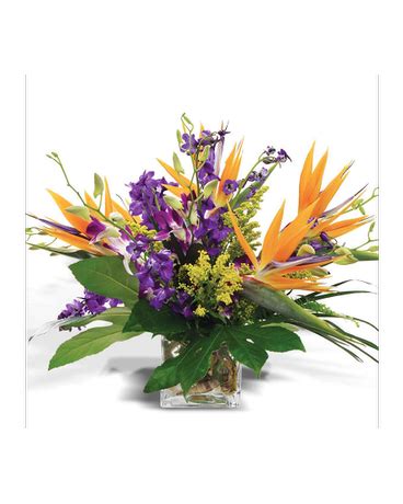 Need flowers to be delivered in birmingham? Orchids in Paradise | Get well flowers, Flower delivery ...