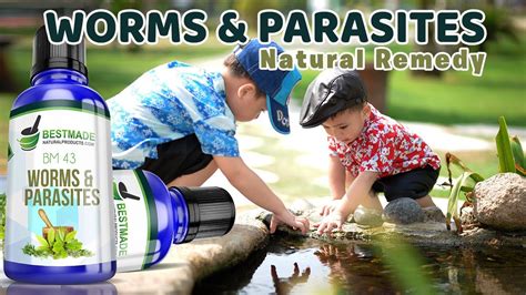 Best Made Natural Products Worms And Parasites Remedy Bm 43 Youtube