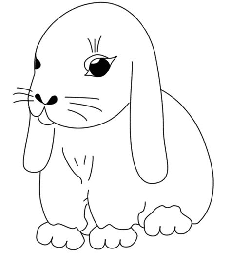 Coloriage De Lapin Belier  danieguto.net