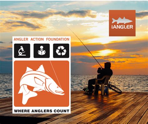 Fwc Help Improve Data By Submitting Catch And Release Fish News