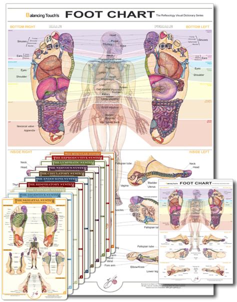 Reflexology Practitioners Bundle Featured 500 X 638 Balancing Touch