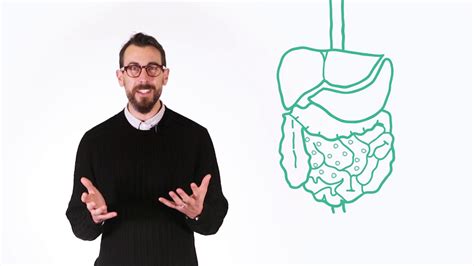 A child is considered adequately. School of Better - The Food Department - All About Gut Health - Lesson Two, Lower GI events ...