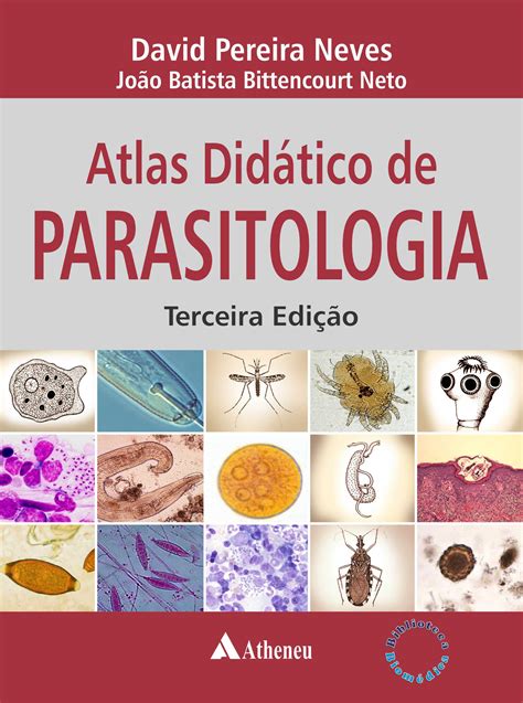 Mapa Mental Sobre Parasitologia Ologia Images And Photos Finder Porn Sex Picture