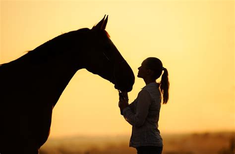 Equine Digestive Supplements Equi Force Nutritional Products