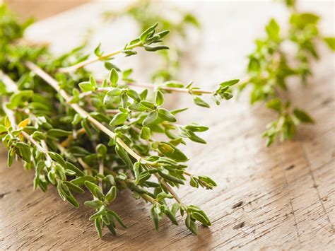 What Is Thyme Used For Storables