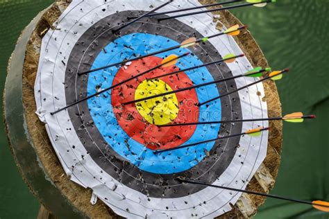 Archery Target With Arrows Stock Photo Image Of Perfection 101327620