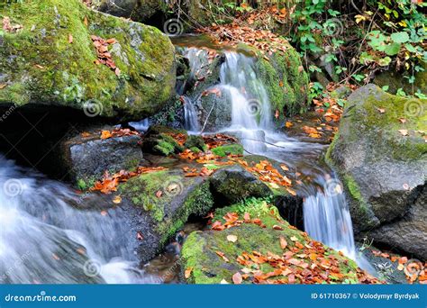 Mountain River In The Autumn Forest Stock Image Image Of Peaceful