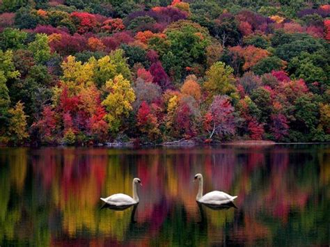 Mother nature meaning, definition, what is mother nature: 40 Beautiful Photos From Our Mother Nature