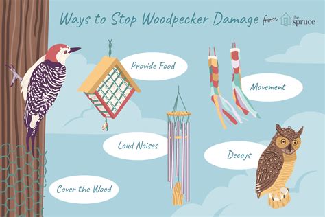 This also makes it the largest woodpecker in north america. Remove Woodpeckers Without Hurting Birds